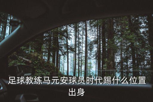 來自足球教頭的報(bào)告