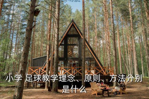 小學(xué) 足球教學(xué)理念、原則、方法分別是什么