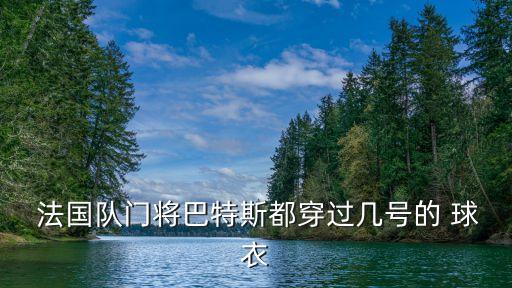  法國隊門將巴特斯都穿過幾號的 球衣