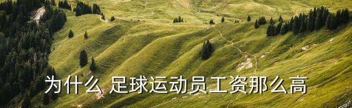 為什么 足球運(yùn)動員工資那么高