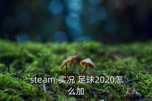  steam 實況 足球2020怎么加