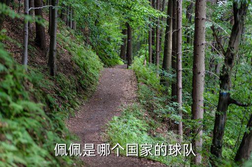 佩佩是哪個(gè)國(guó)家的球隊(duì)