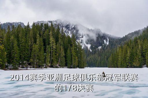 2014賽季亞洲足球俱樂(lè)部冠軍聯(lián)賽的1/8決賽