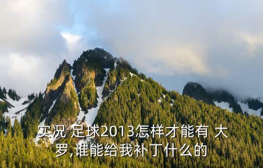  實況 足球2013怎樣才能有 大羅,誰能給我補丁什么的