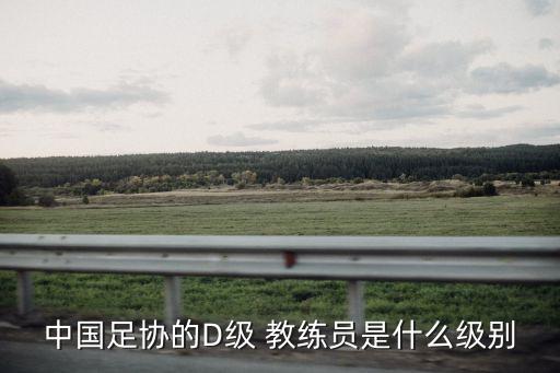 中國(guó)足協(xié)的D級(jí) 教練員是什么級(jí)別