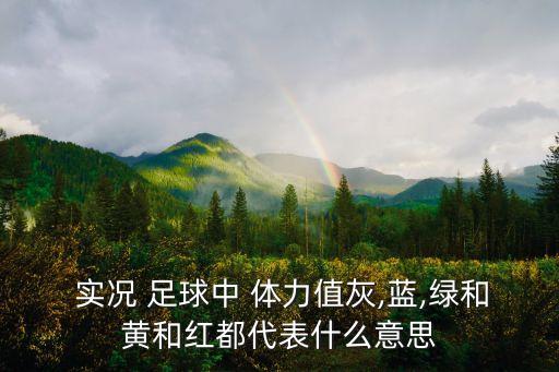  實況 足球中 體力值灰,藍(lán),綠和黃和紅都代表什么意思