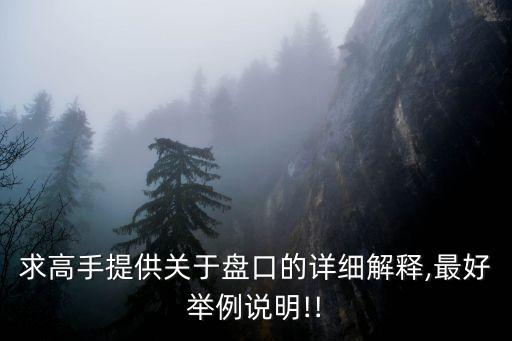 求高手提供關(guān)于盤口的詳細(xì)解釋,最好舉例說明!!