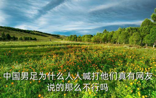 中國(guó)男足為什么人人喊打他們真有網(wǎng)友說的那么不行嗎