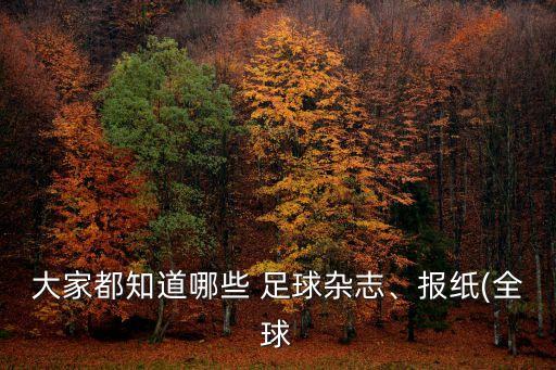 大家都知道哪些 足球雜志、報紙(全球