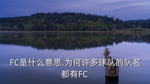 FC是什么意思,為何許多球隊的隊名都有FC