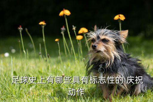 足球c羅進(jìn)球慶祝動作,c羅進(jìn)球慶祝動作什么意思