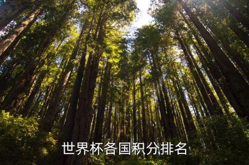 俄 超2018足球隊(duì)積分榜