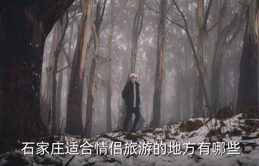 石家莊免費足球場