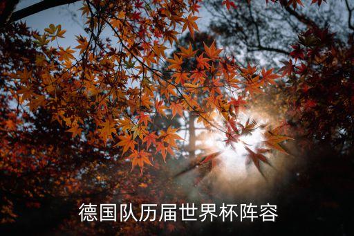  德國(guó)隊(duì)歷屆世界杯陣容