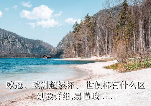 歐冠、歐洲超級杯、 世俱杯有什么區(qū)別要詳細,易懂哦……