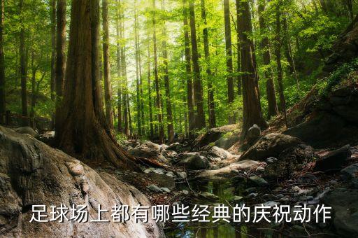 百大足球場盤點,盤點足球場上的搞笑瞬間