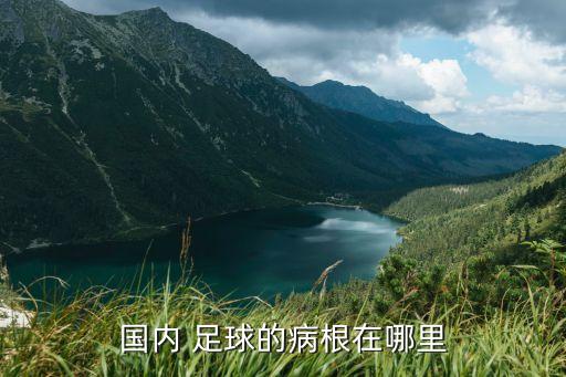 中國(guó)足球過(guò)早職業(yè)化,1992年中國(guó)足球職業(yè)化改革