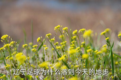 中甲遼寧沈陽足球隊(duì)?wèi)?zhàn)況,2023遼寧沈陽城建中甲足球隊(duì)