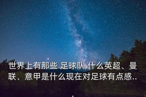 世界上有那些 足球隊,什么英超、曼聯(lián)、意甲是什么現(xiàn)在對足球有點感...