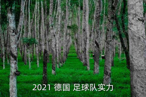 2021 德國 足球隊實力