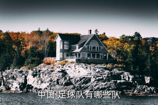 中國 足球隊(duì)有哪些隊(duì)