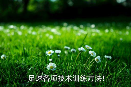  足球各項(xiàng)技術(shù)訓(xùn)練方法!