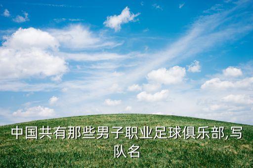 中國共有那些男子職業(yè)足球俱樂部,寫隊(duì)名