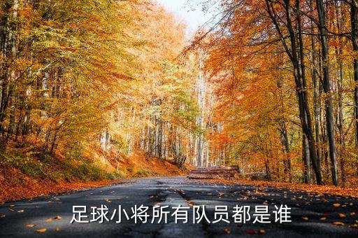  足球小將所有隊(duì)員都是誰
