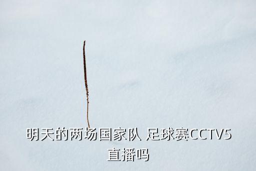 明天的兩場國家隊(duì) 足球賽CCTV5直播嗎