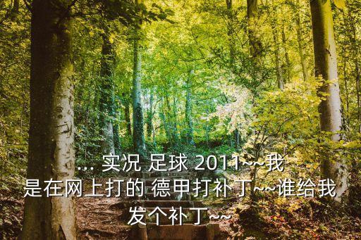 ... 實(shí)況 足球 2011~~我是在網(wǎng)上打的 德甲打補(bǔ)丁~~誰(shuí)給我發(fā)個(gè)補(bǔ)丁~~