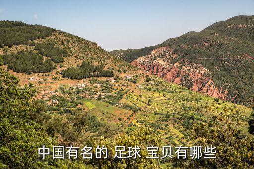 中國(guó)有名的 足球 寶貝有哪些