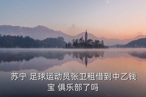 江蘇蘇寧足球俱樂(lè)部10號(hào)球員,蘇寧太子爺買(mǎi)的足球俱樂(lè)部