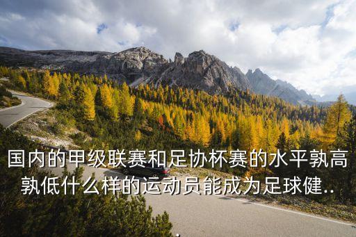 國內(nèi)的甲級(jí)聯(lián)賽和足協(xié)杯賽的水平孰高孰低什么樣的運(yùn)動(dòng)員能成為足球健...