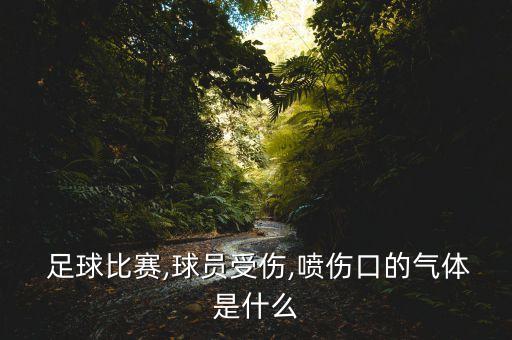 足球十大毒,韓國(guó)足球十大球星