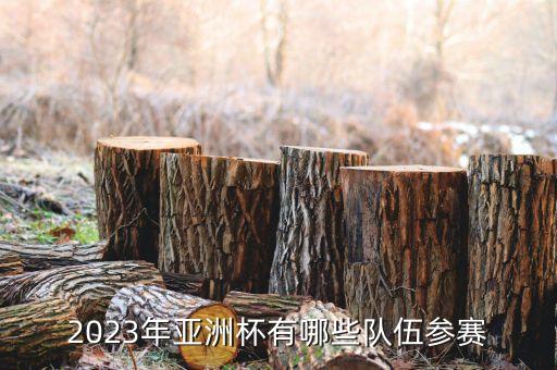 2023年亞洲杯有哪些隊(duì)伍參賽