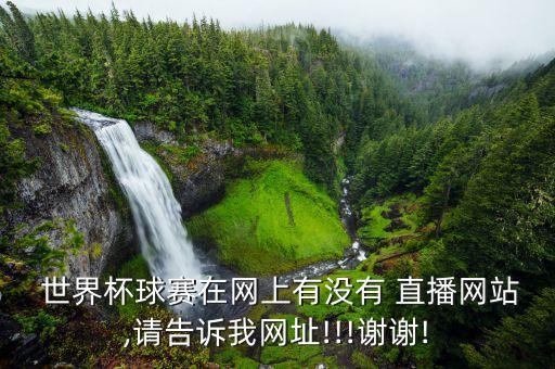 世界杯球賽在網(wǎng)上有沒有 直播網(wǎng)站,請告訴我網(wǎng)址!!!謝謝!
