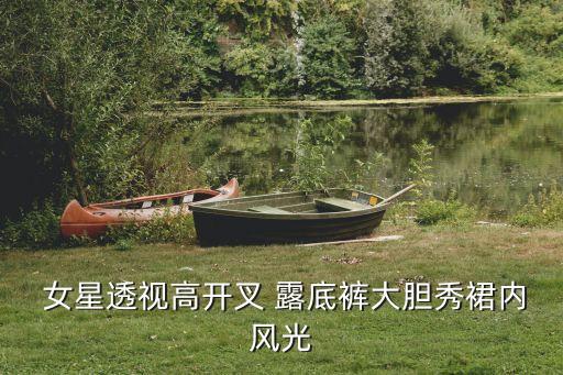  女星透視高開叉 露底褲大膽秀裙內(nèi)風光