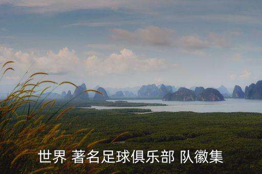 世界 著名足球俱樂部 隊(duì)徽集