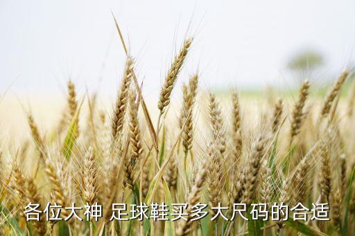 各位大神 足球鞋買(mǎi)多大尺碼的合適