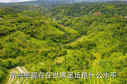孫興慜現(xiàn)在在世界足壇是什么水平