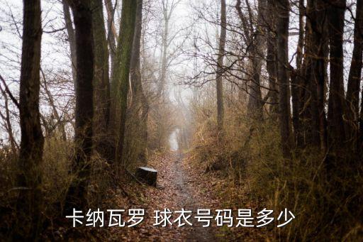 足球隊(duì)長球衣,足球十大最漂亮的球衣
