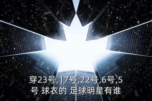 穿23號,17號,22號,6號,5號 球衣的 足球明星有誰
