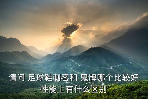 請(qǐng)問(wèn) 足球鞋刺客和 鬼牌哪個(gè)比較好性能上有什么區(qū)別