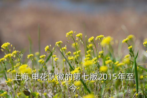 申花足球俱樂(lè)部前身,上海綠地申花足球俱樂(lè)部