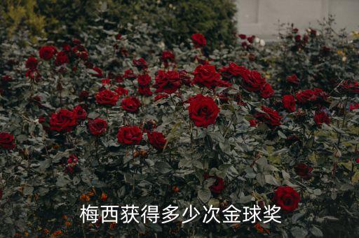 梅西拿過世界足球先生嗎,梅西等14人候選世界足球先生