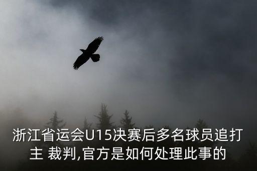 中國(guó)足球怎么投訴裁判