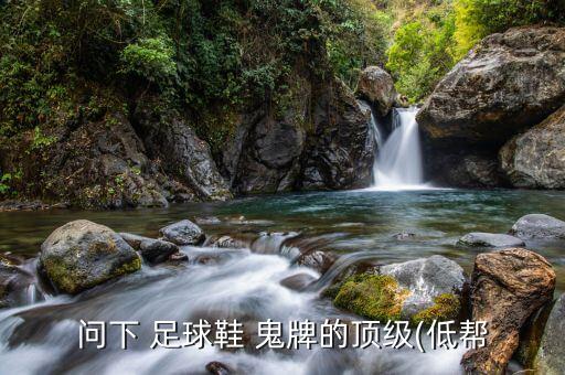 問(wèn)下 足球鞋 鬼牌的頂級(jí)(低幫