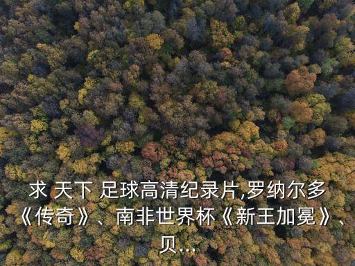 求 天下 足球高清紀錄片,羅納爾多《傳奇》、南非世界杯《新王加冕》、貝...