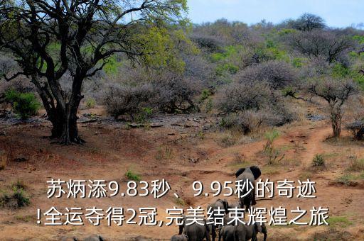 蘇炳添9.83秒、9.95秒的奇跡!全運(yùn)奪得2冠,完美結(jié)束輝煌之旅