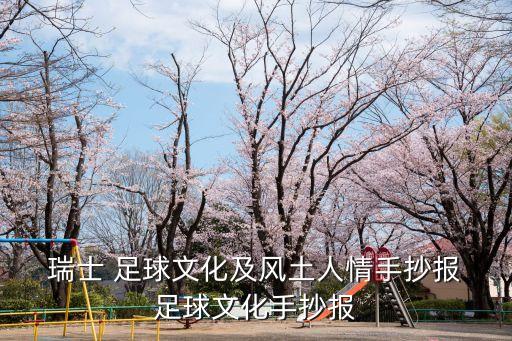  瑞士 足球文化及風(fēng)土人情手抄報 足球文化手抄報